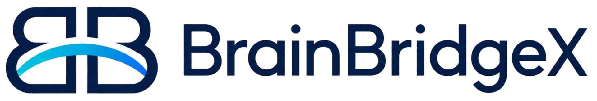 BrainBridgeX