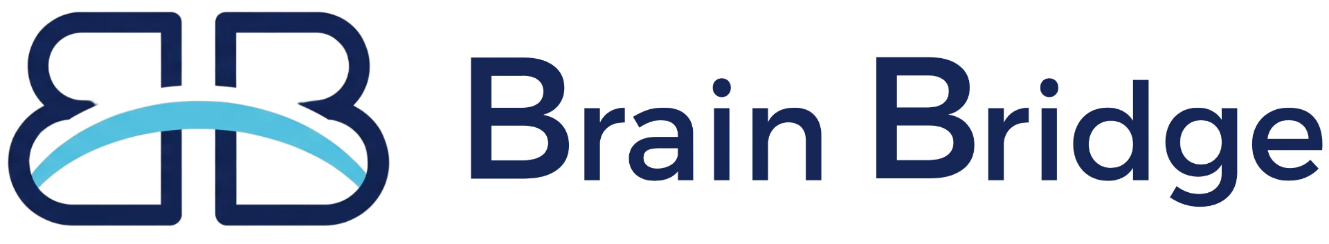 BrainBridge